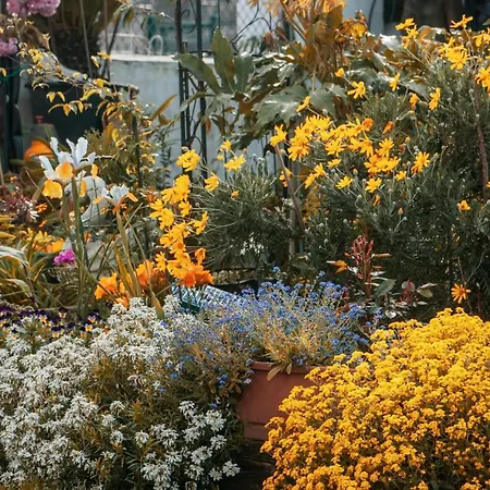 Cosy Klara Διαμέρισμα *