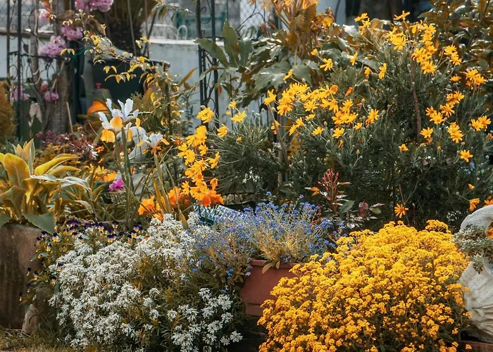 Cosy Klara Διαμέρισμα *